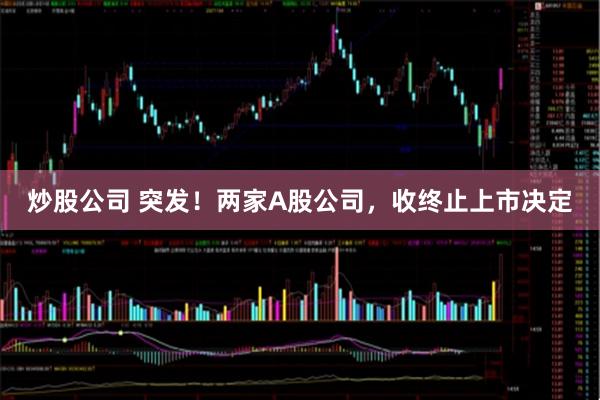 炒股公司 突发！两家A股公司，收终止上市决定